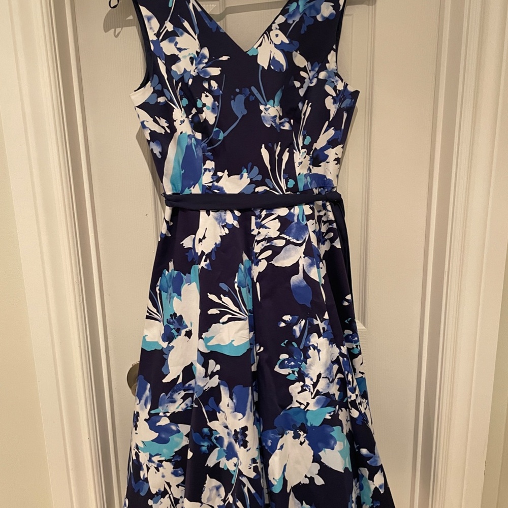 Precis Floral Fit & Flare Dress